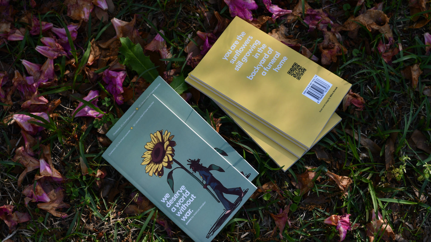 we deserve a world without war (print version - signed)