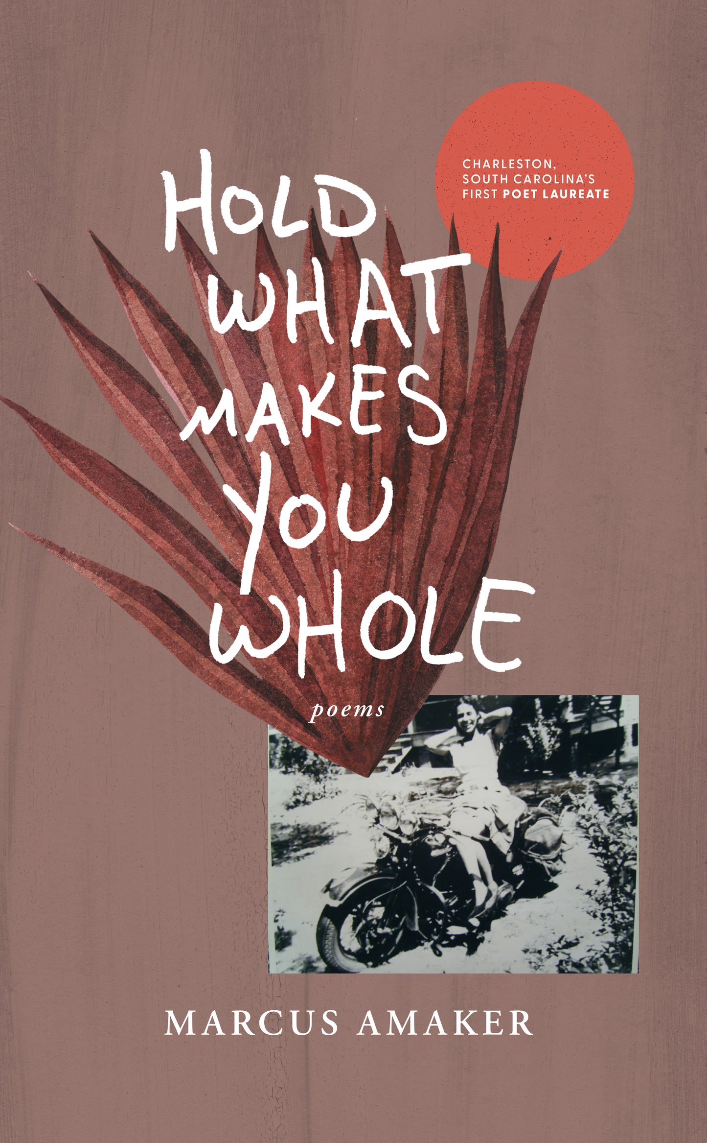 Hold What Makes You Whole (signed paperback + limited edition journal)