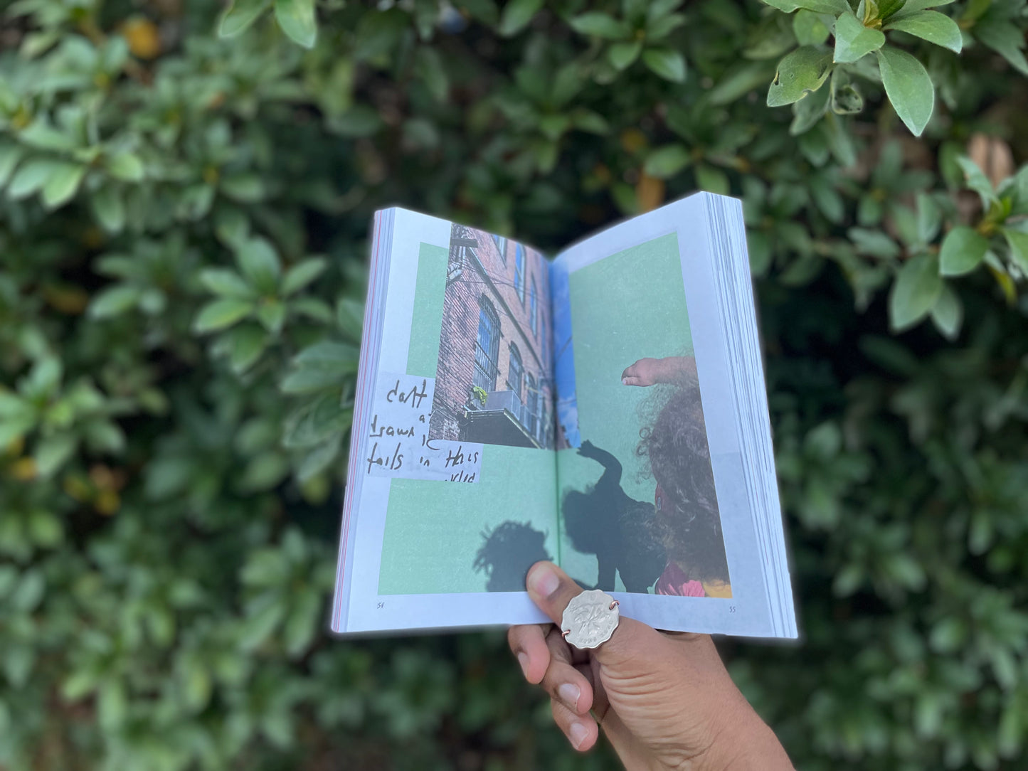 Hold What Makes You Whole (signed paperback + limited edition journal)