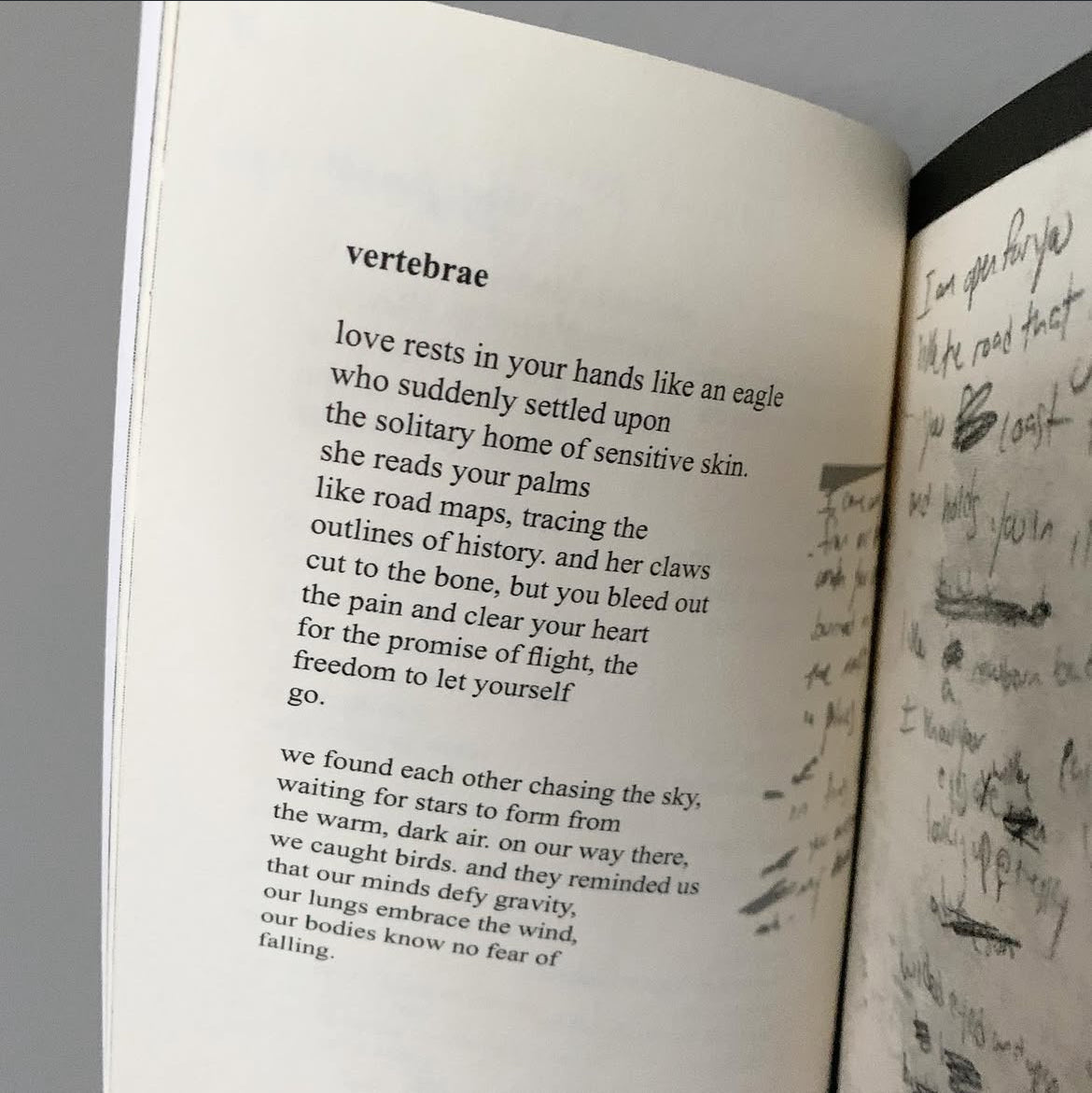 the soft paper cut - (2007 poetry collection)