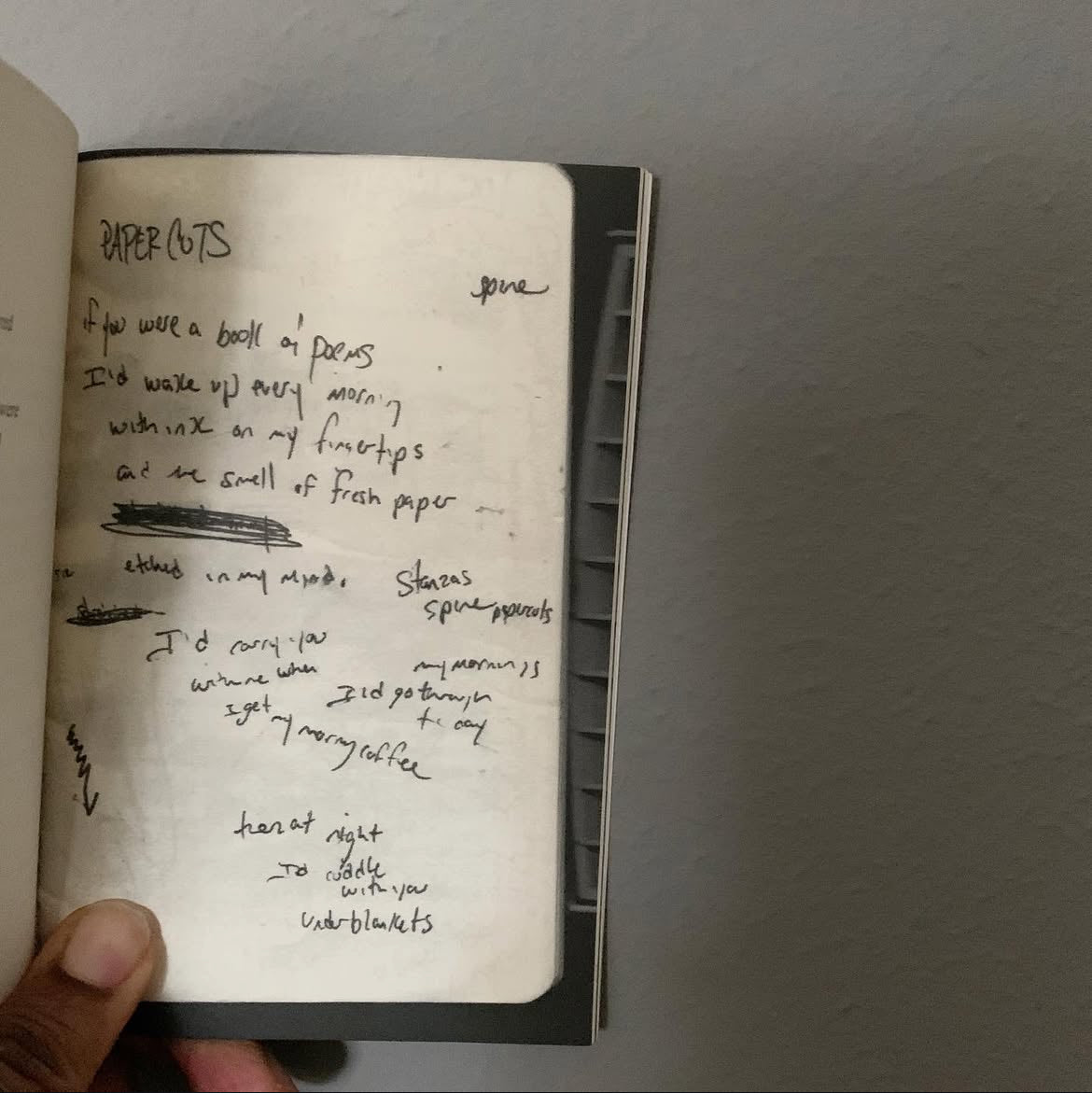 the soft paper cut - (2007 poetry collection)