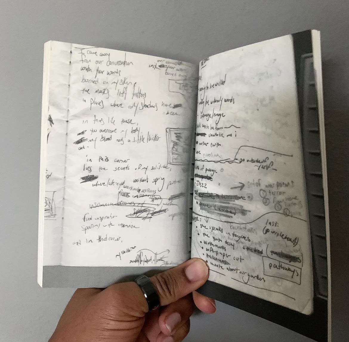 the soft paper cut - (2007 poetry collection)