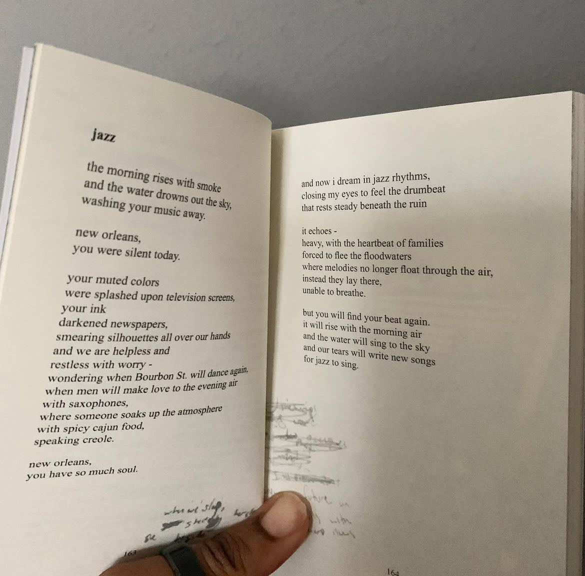 the soft paper cut - (2007 poetry collection)