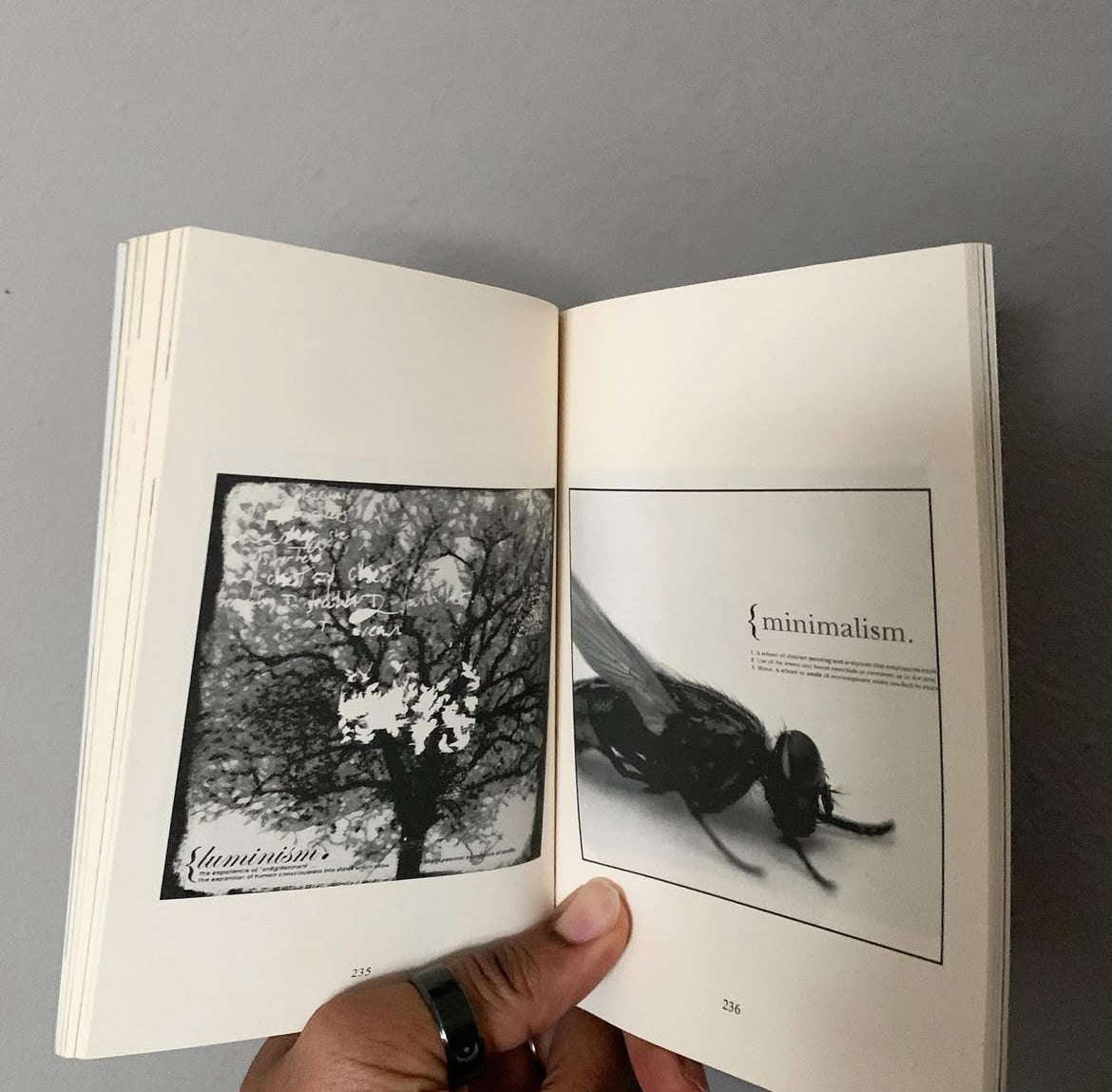 the soft paper cut - (2007 poetry collection)