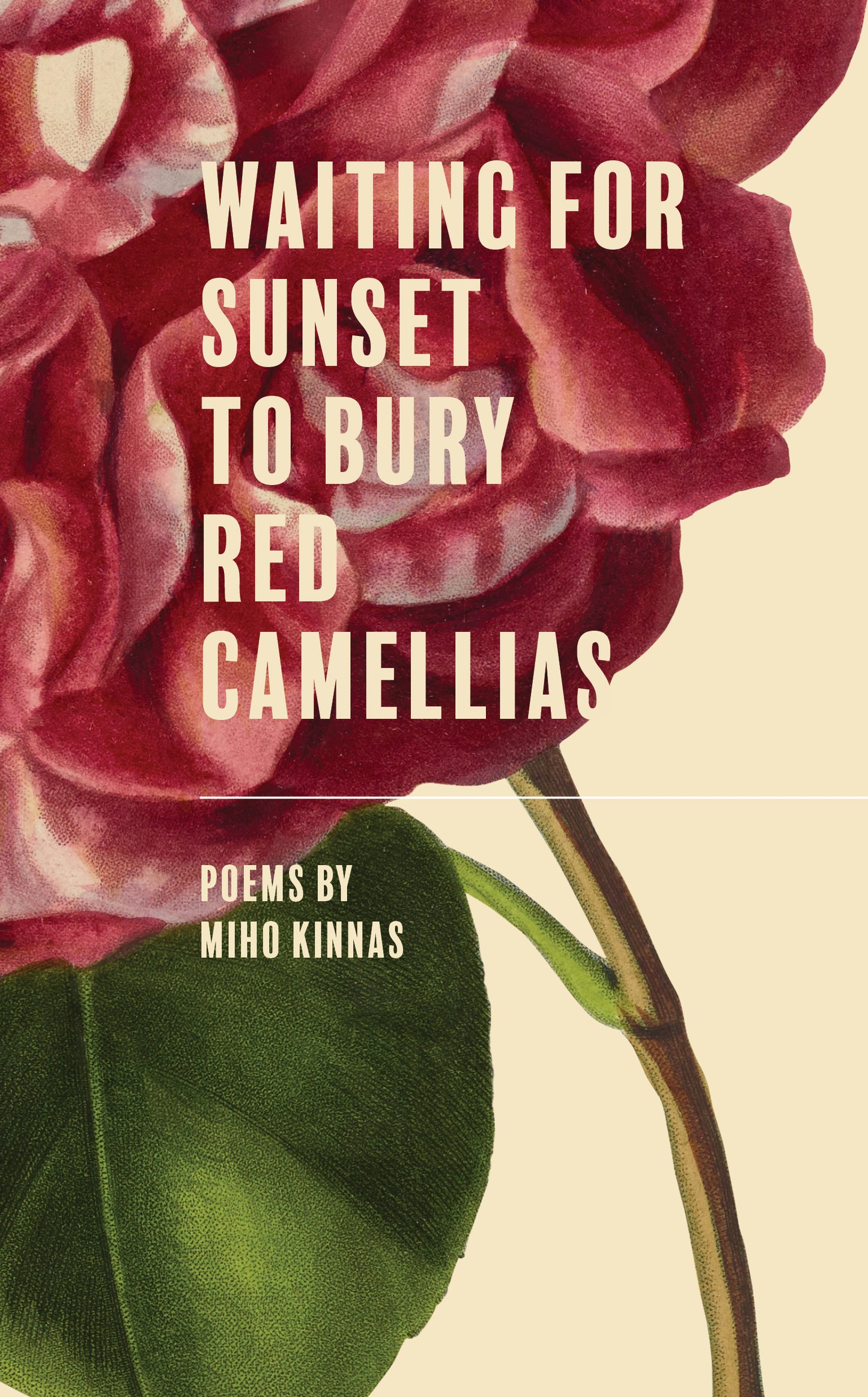 Miho Kinnas "Waiting for Sunset to Bury Red Camellias" (Free Verse Press bookstore price)
