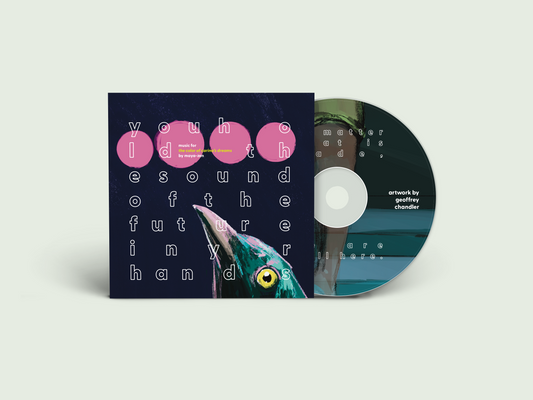 you hold the sound of the future in yr hands CD